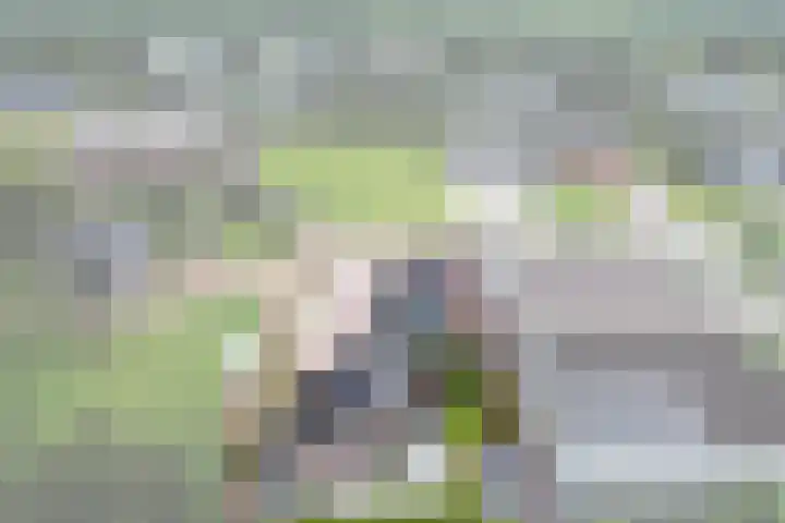 Zoom 6 Surhuisterveen thumbnail 5
