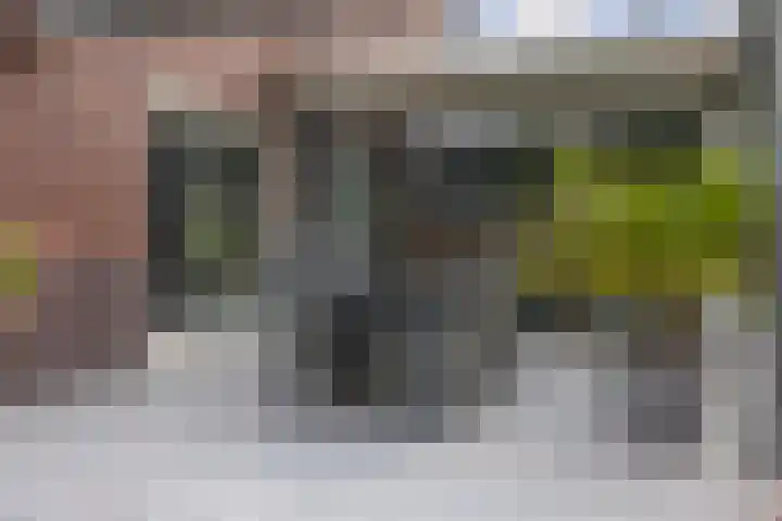 Zoom 6 Surhuisterveen thumbnail 52