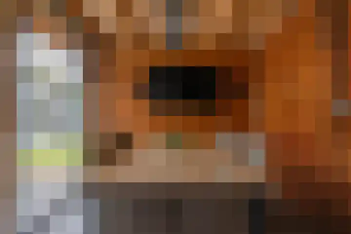 Zoom 6 Surhuisterveen thumbnail 54