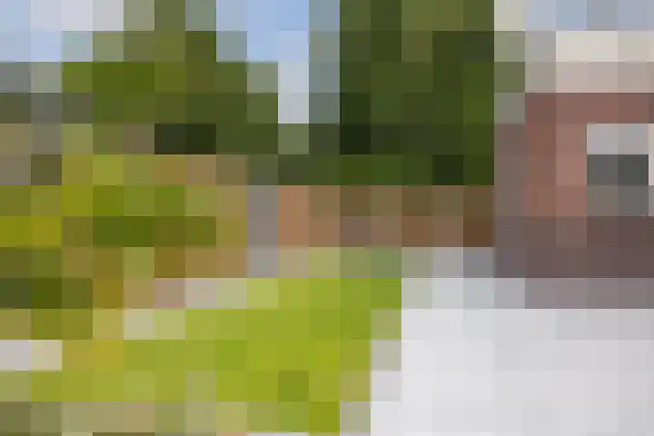Zoom 6 Surhuisterveen thumbnail 61
