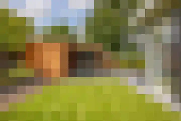 Zoom 6 Surhuisterveen thumbnail 63