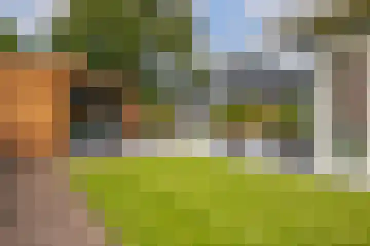 Zoom 6 Surhuisterveen thumbnail 64