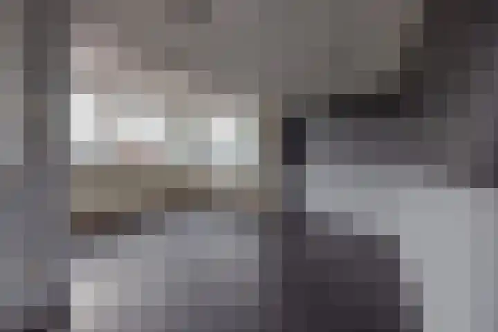 Zoom 6 Surhuisterveen thumbnail 68