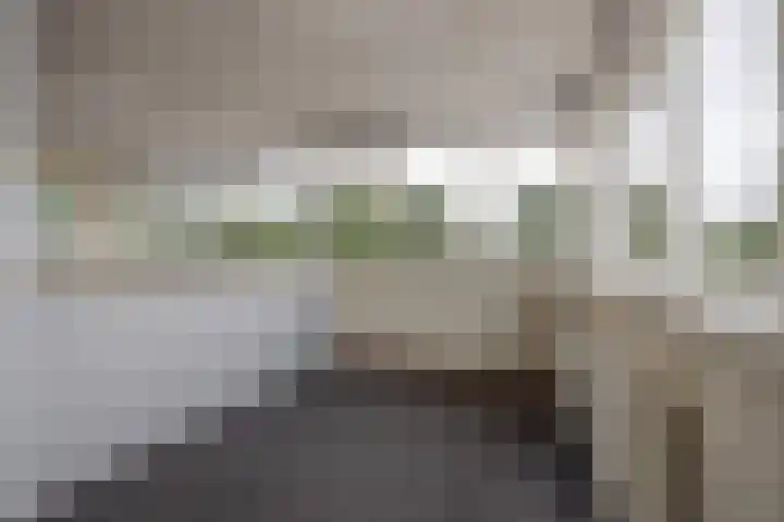 Zoom 6 Surhuisterveen thumbnail 70