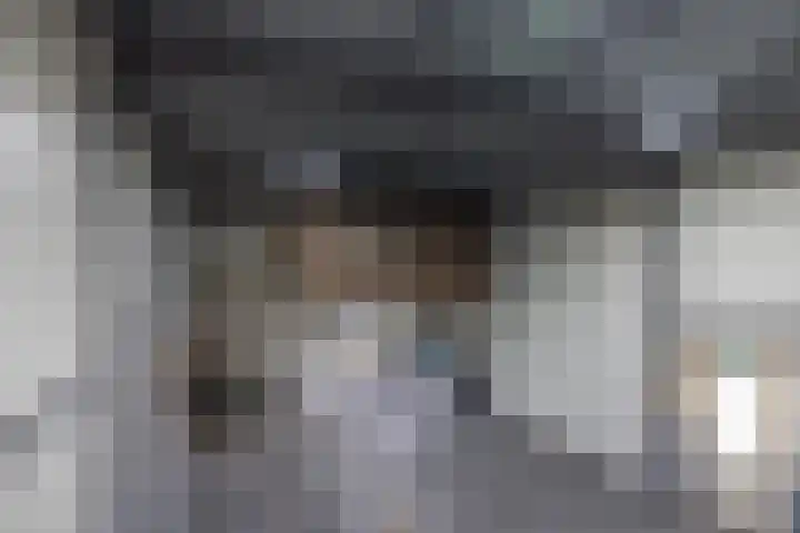 Zoom 6 Surhuisterveen thumbnail 77