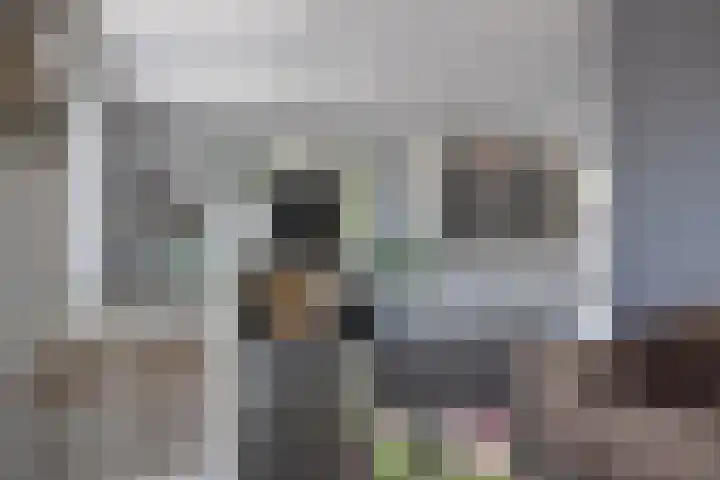 Zoom 6 Surhuisterveen thumbnail 8