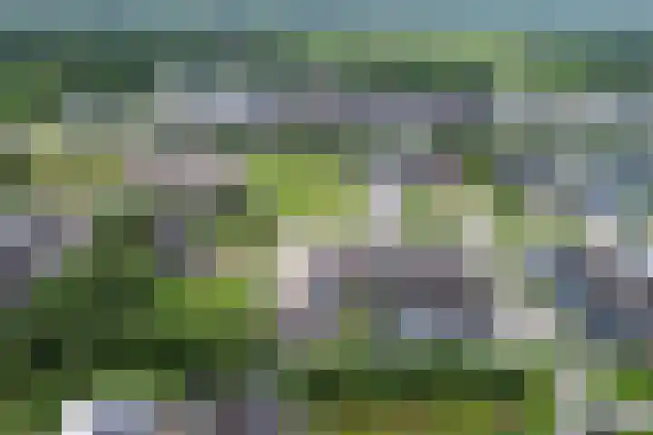 Zoom 6 Surhuisterveen thumbnail 84
