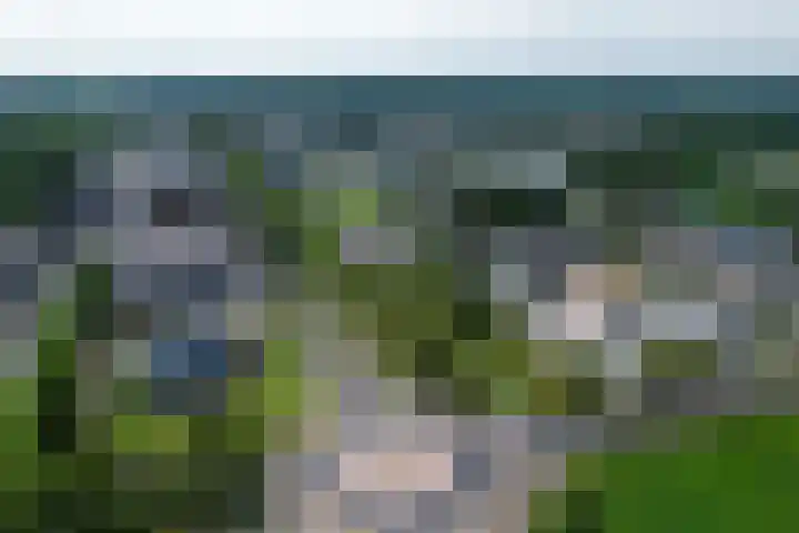 Zoom 6 Surhuisterveen thumbnail 85