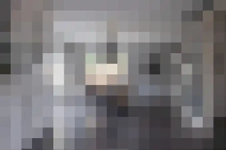 Zoom 6 Surhuisterveen thumbnail 9