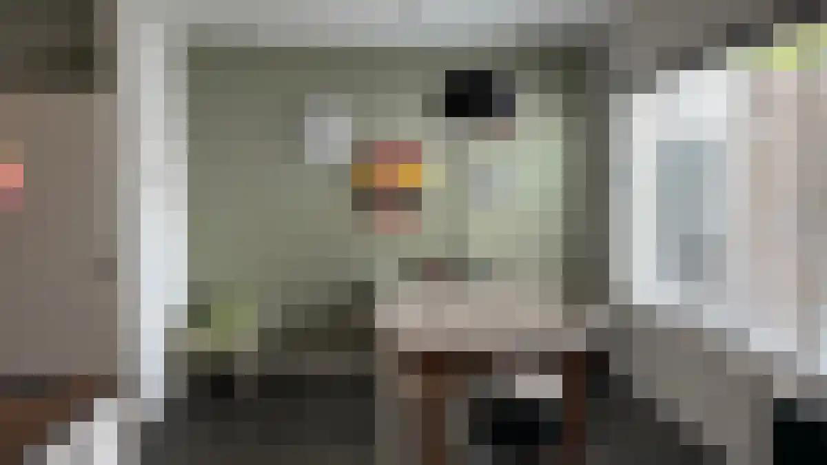 Zoom 77 Oisterwijk thumbnail 5