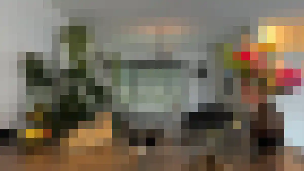 Zoom 77 Oisterwijk thumbnail 6