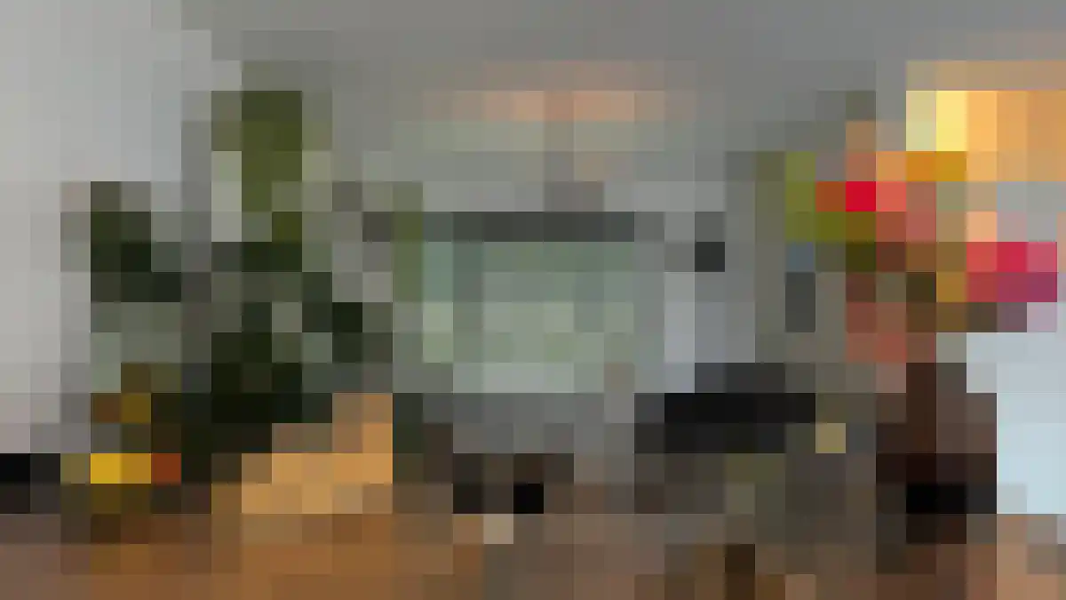 Zoom 77 Oisterwijk thumbnail 6