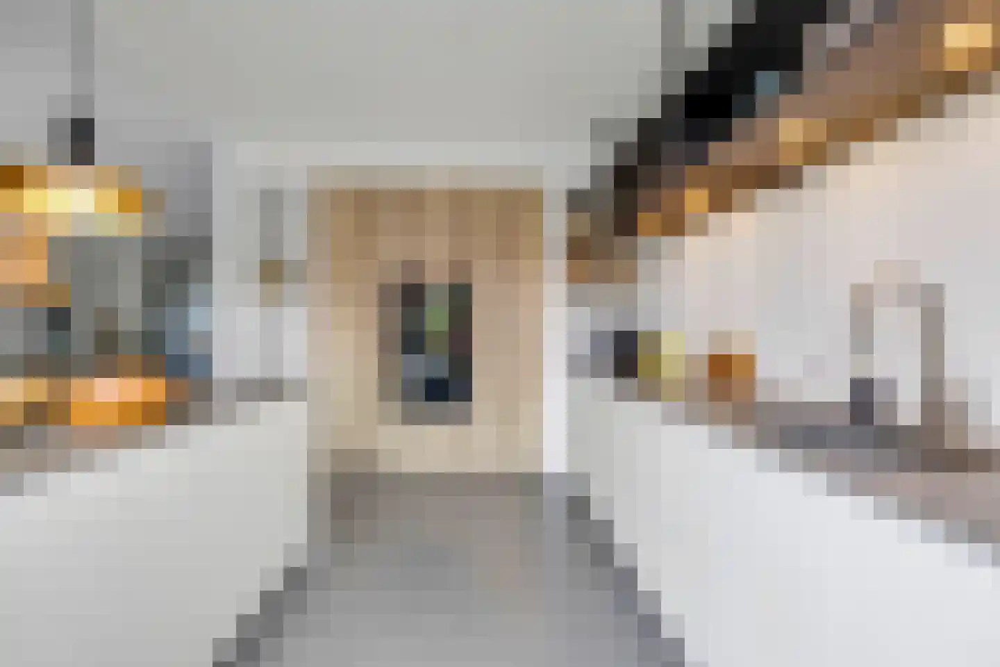 Zoom 8 Brielle thumbnail 16
