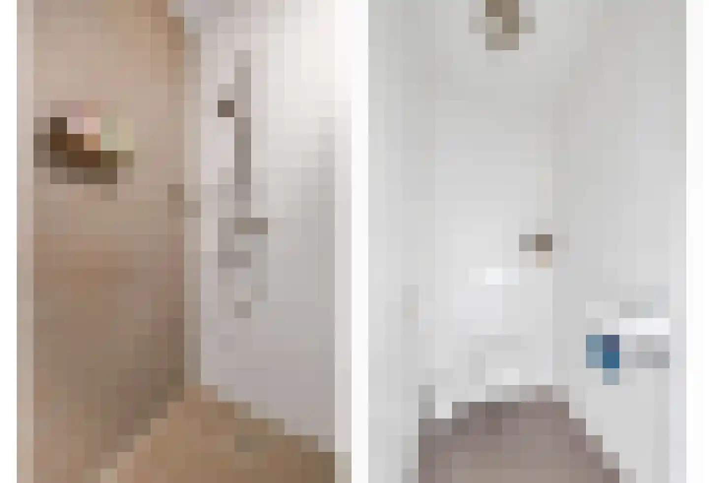 Zoom 8 Brielle thumbnail 23