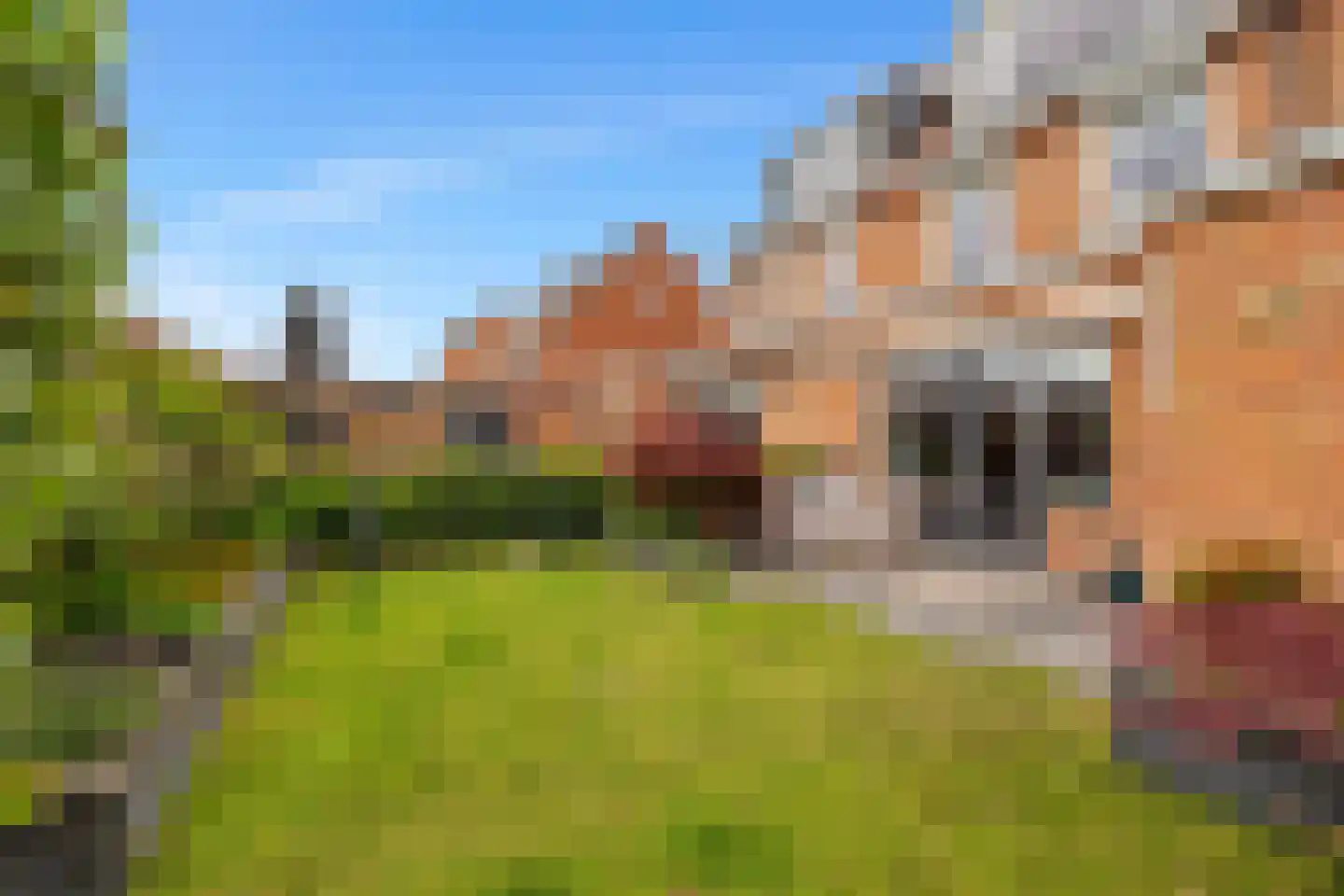 Zoom 8 Brielle thumbnail 29