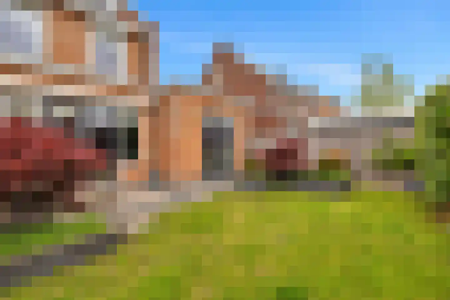 Zoom 8 Brielle thumbnail 30
