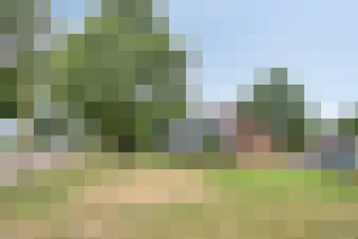 Zoomkade 20 Deventer thumbnail 27