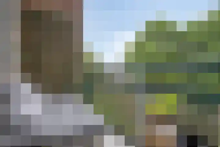 Zoomkade 20 Deventer thumbnail 5