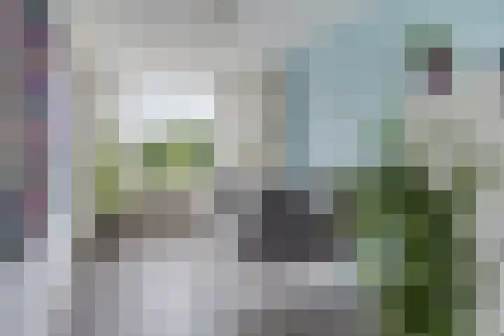 Zoomkade 22 Deventer thumbnail 8