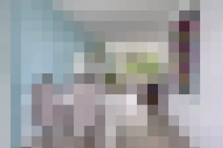 Zoomkade 22 Deventer thumbnail 9
