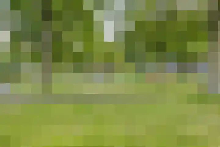 Zoomkade 26 Deventer thumbnail 20