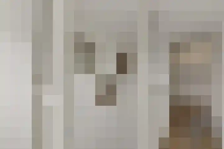 Zoomstraat 105 01 Rotterdam thumbnail 26