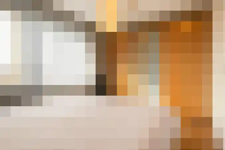 Zoomstraat 13 Arnhem thumbnail 15