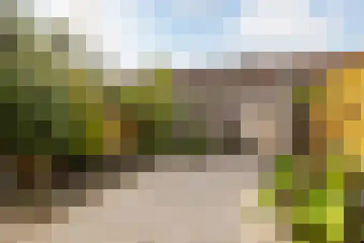 Zoomstraat 13 Arnhem thumbnail 29