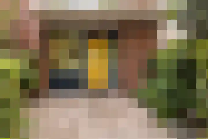Zoomstraat 13 Arnhem thumbnail 31