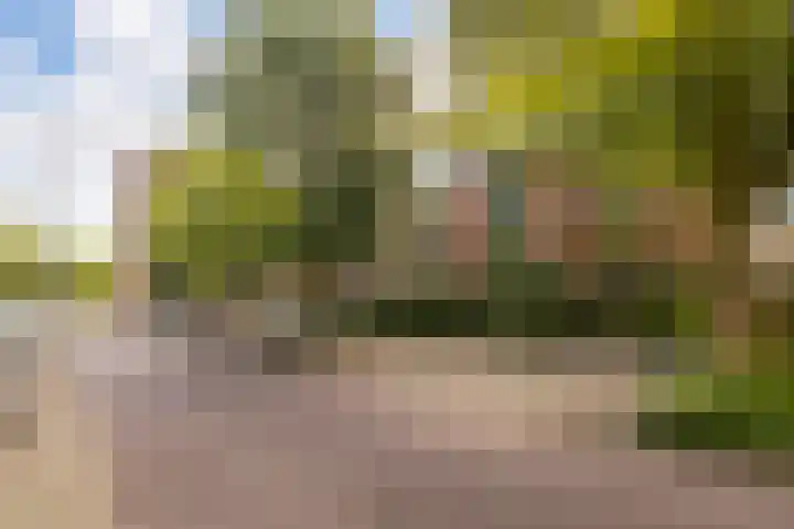 Zoomstraat 13 Arnhem thumbnail 32