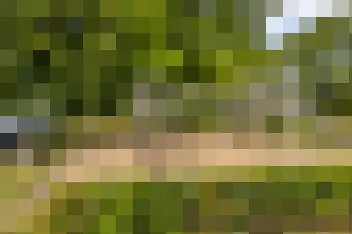 Zoomstraat 13 Arnhem thumbnail 36