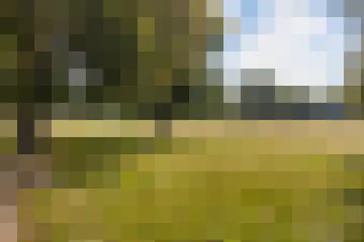Zoomstraat 13 Arnhem thumbnail 37