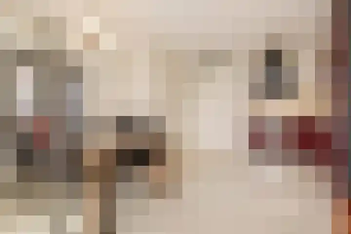 Zoomstraat 13 Arnhem thumbnail 4
