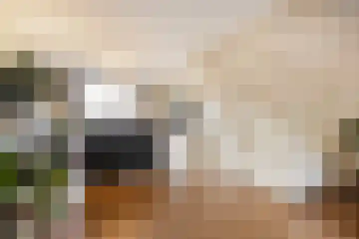 Zoomstraat 13 Arnhem thumbnail 8