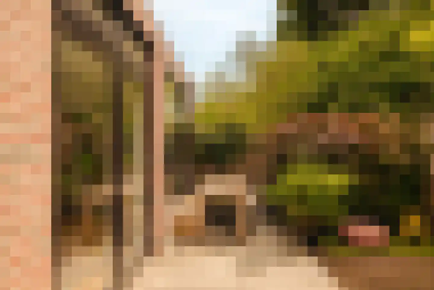 Zoomstraat 22 Amsterdam thumbnail 10