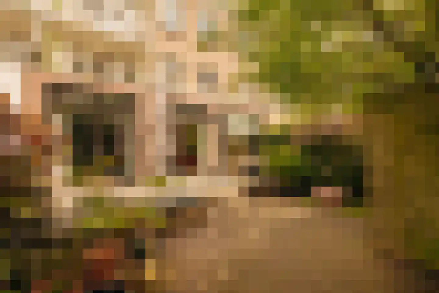 Zoomstraat 22 Amsterdam thumbnail 11
