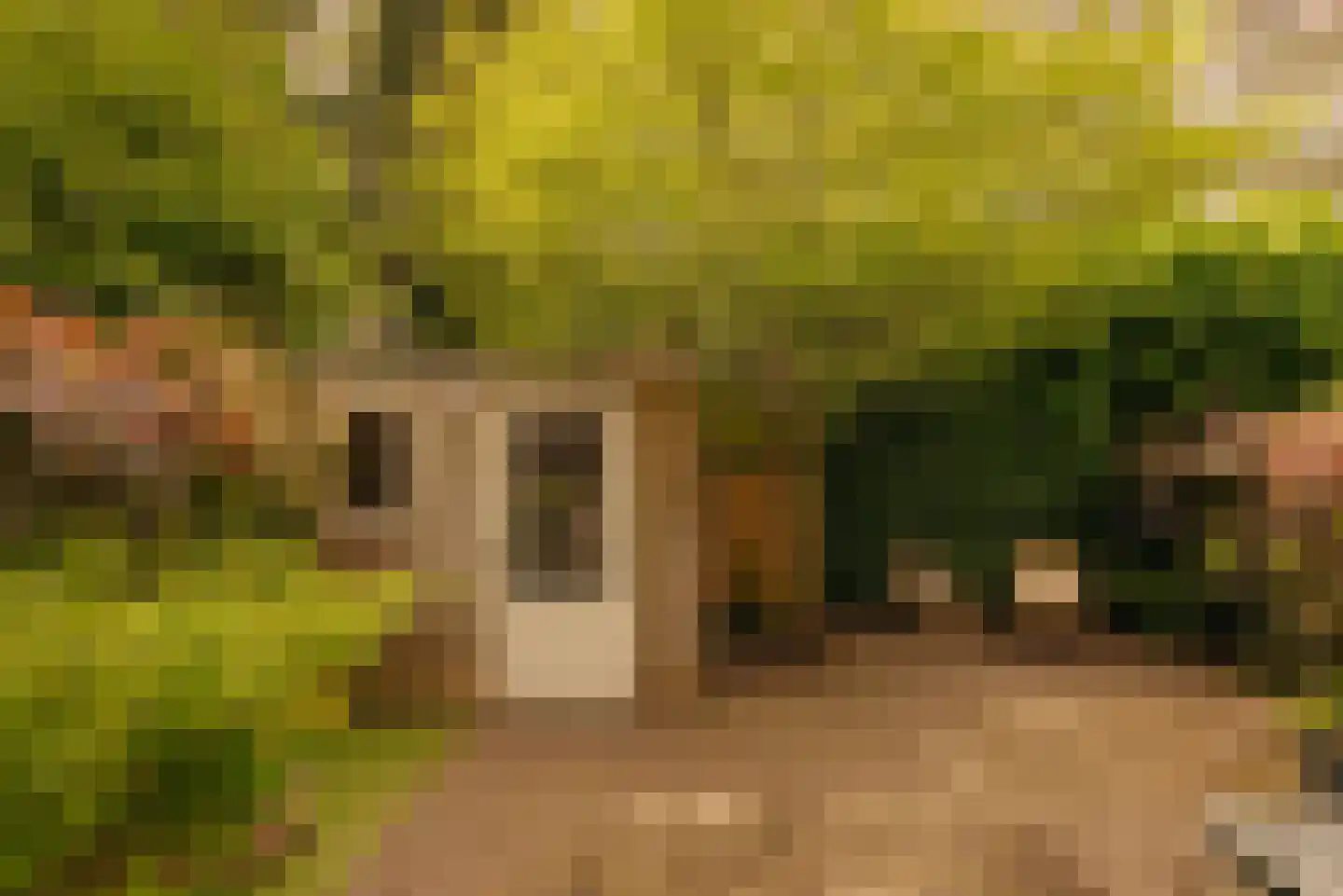 Zoomstraat 22 Amsterdam thumbnail 13