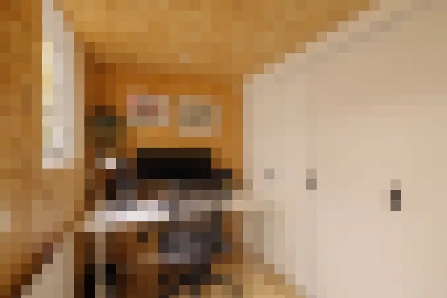 Zoomstraat 22 Amsterdam thumbnail 14