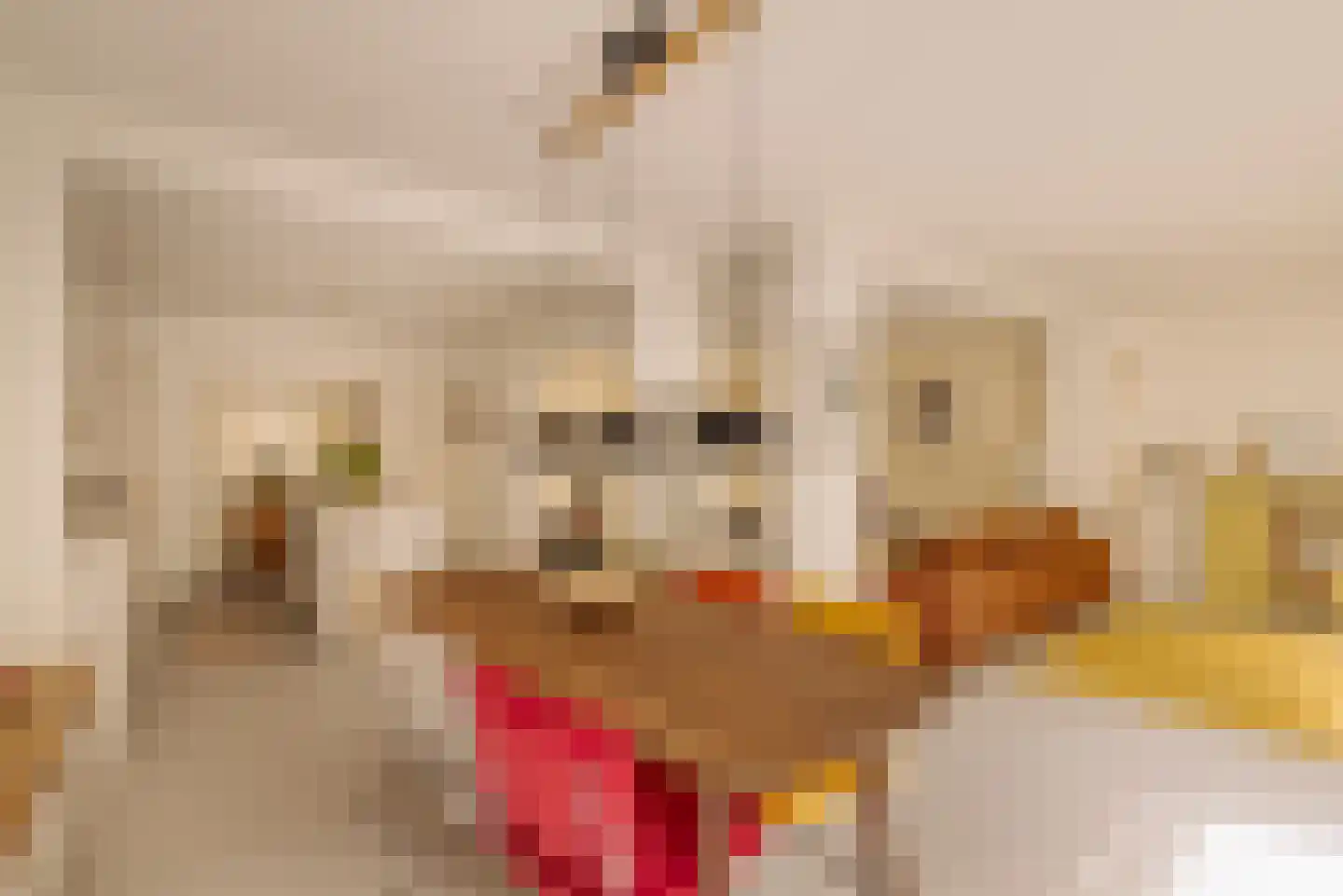 Zoomstraat 22 Amsterdam thumbnail 16