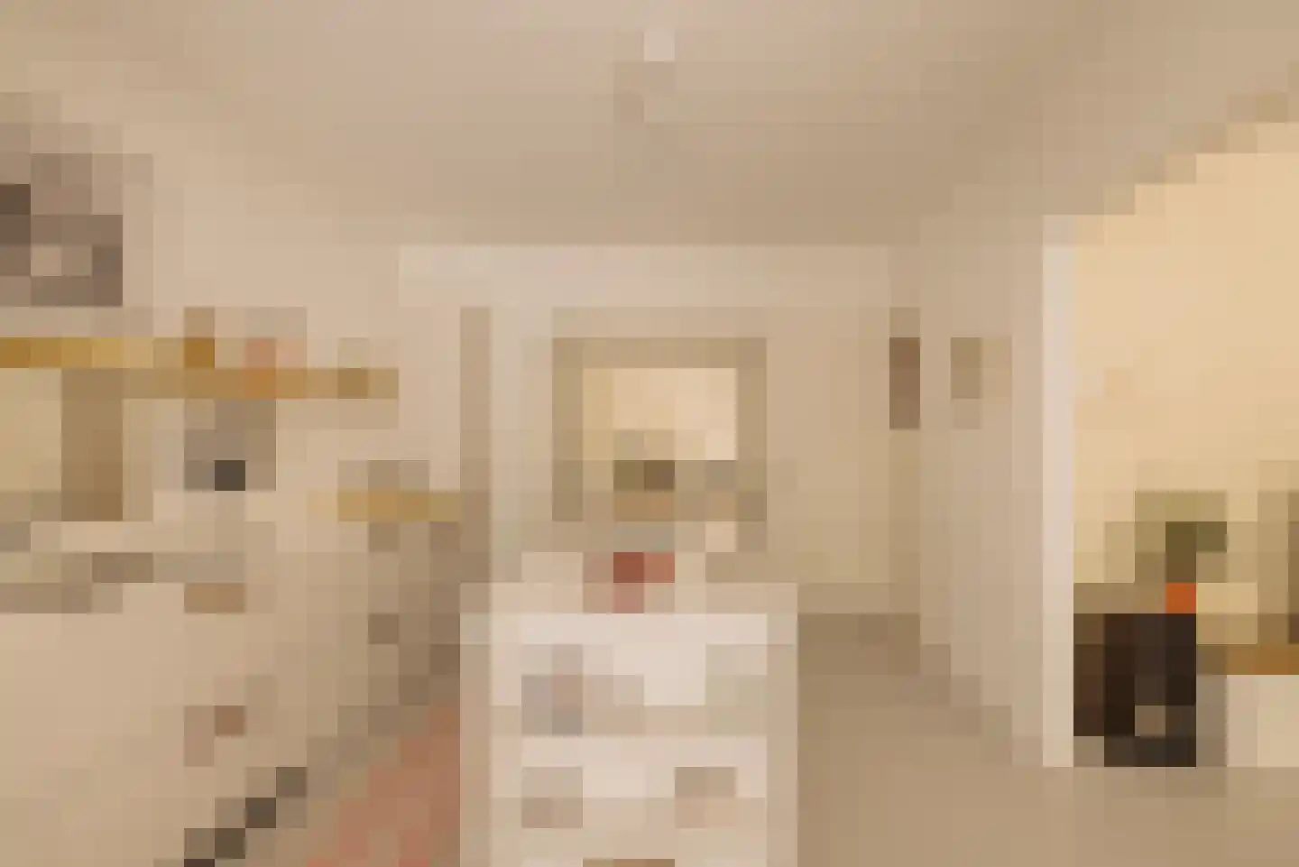 Zoomstraat 22 Amsterdam thumbnail 18
