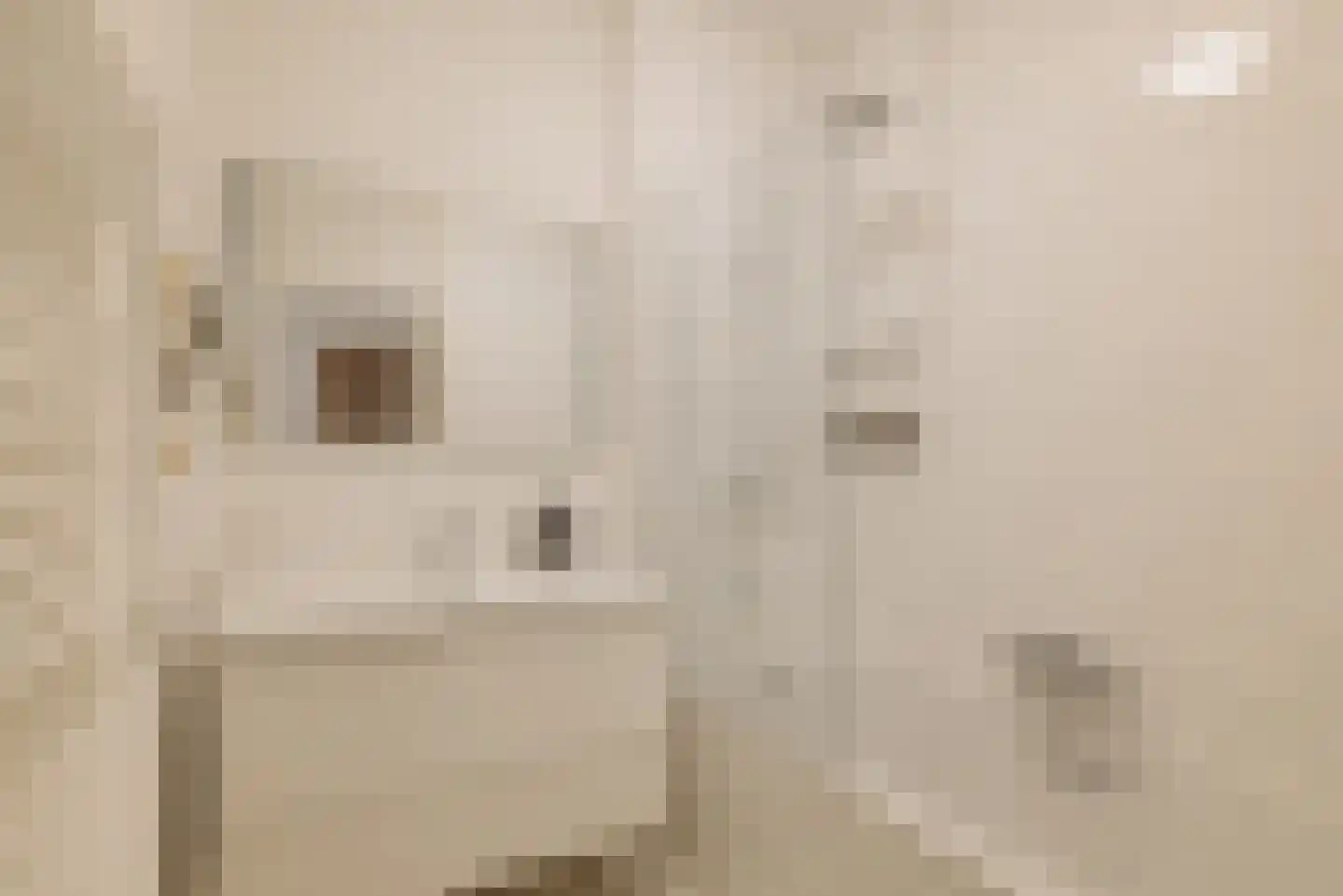 Zoomstraat 22 Amsterdam thumbnail 27