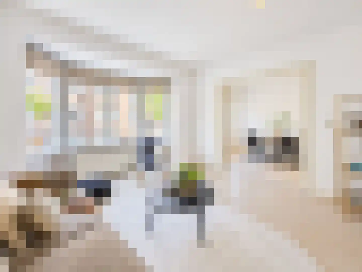 Zoomstraat 25 1 Amsterdam thumbnail 10