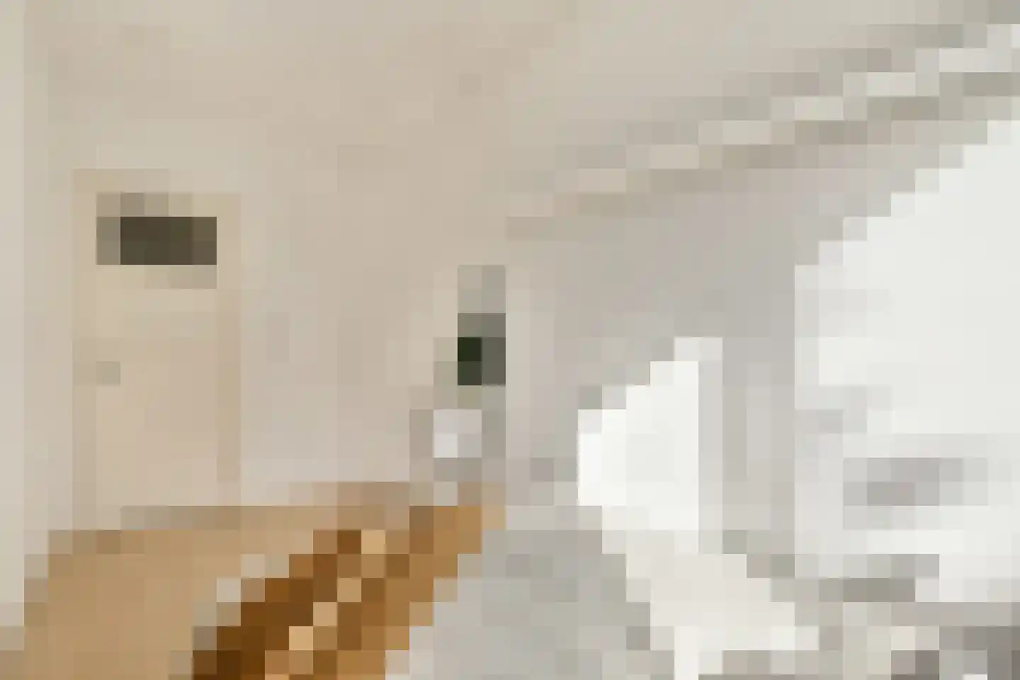 Zoomstraat 25 1 Amsterdam thumbnail 13