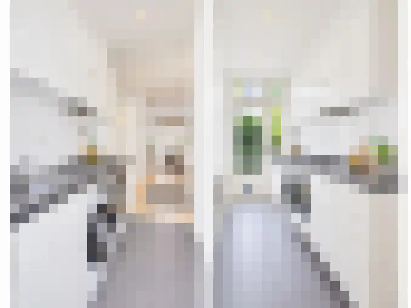 Zoomstraat 25 1 Amsterdam thumbnail 18