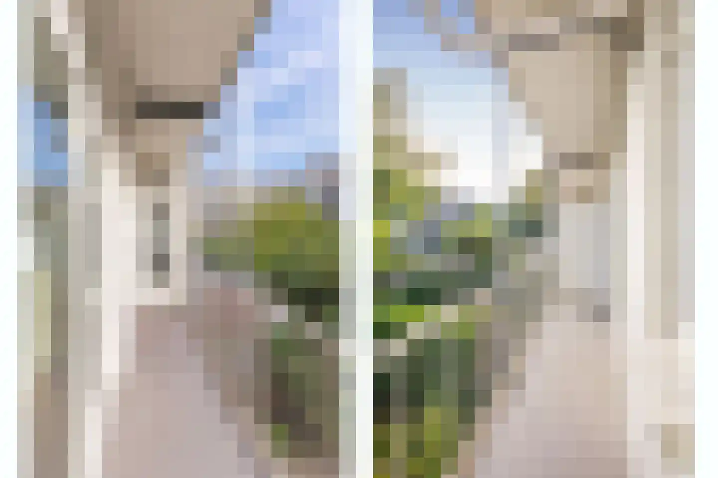 Zoomstraat 25 1 Amsterdam thumbnail 19