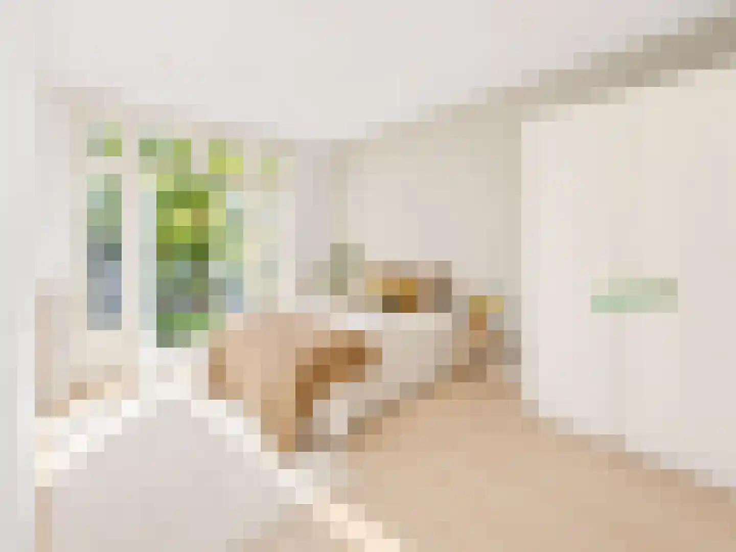 Zoomstraat 25 1 Amsterdam thumbnail 19