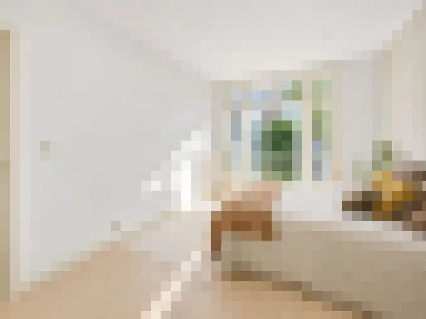 Zoomstraat 25 1 Amsterdam thumbnail 20