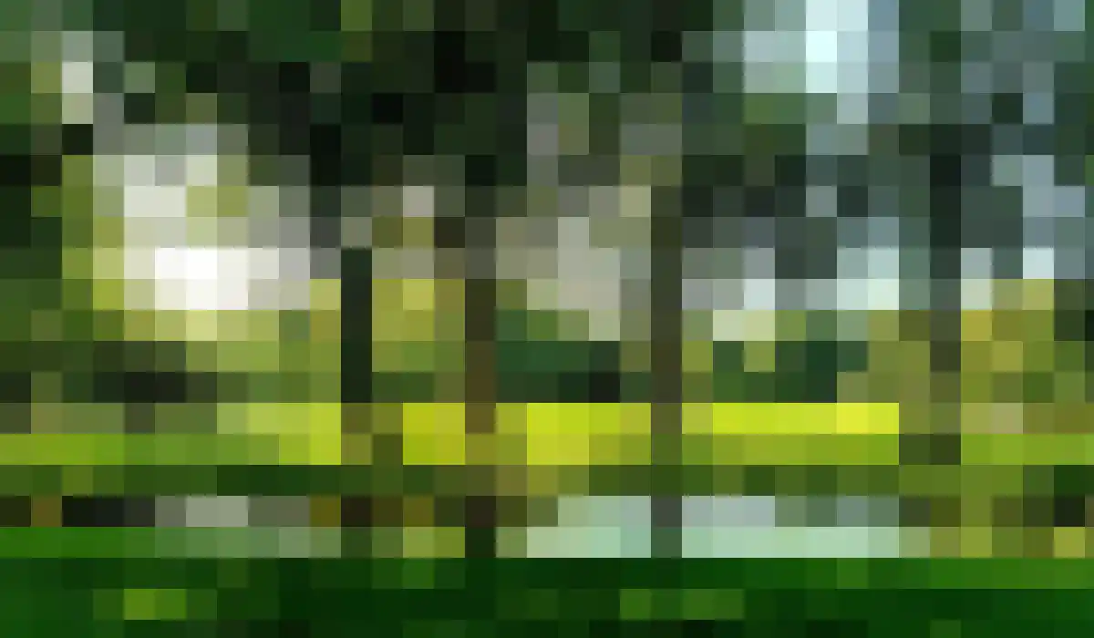 Zoomstraat 25 1 Amsterdam thumbnail 23