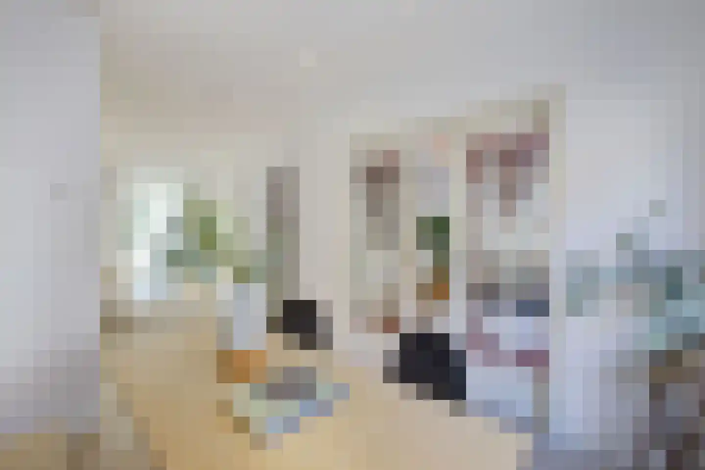 Zoomstraat 25 1 Amsterdam thumbnail 4
