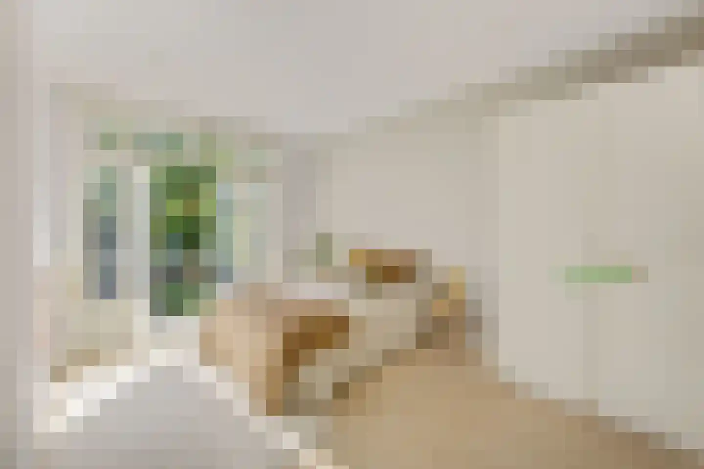 Zoomstraat 25 1 Amsterdam thumbnail 5